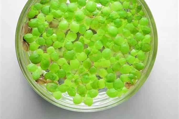 大量元素水溶肥短效、中效、长效怎么曲分