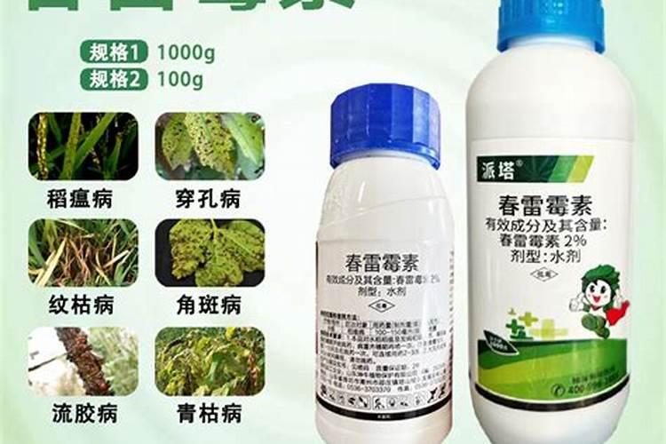 玉米幼苗杀虫打什么农药