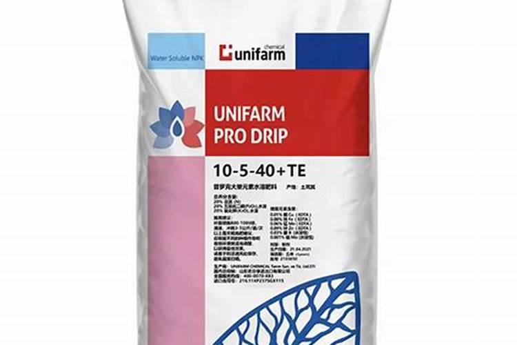 种柑橘用什么肥料最好