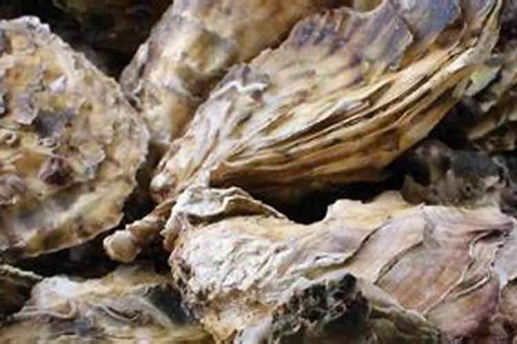 院子里养了很多的花草,使用什么肥料效果好一些？