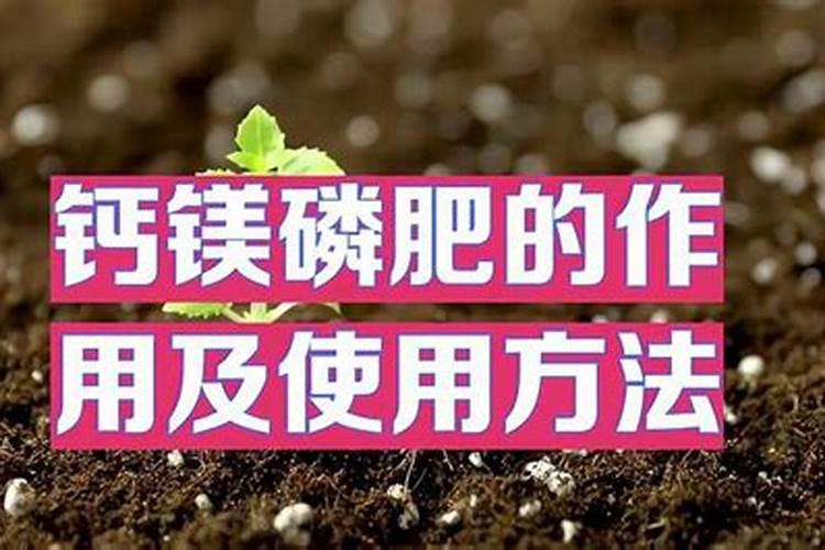 如何根据土壤酸碱度选择化肥？