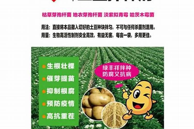 哪种粪对土豆最好 种土豆怎么施肥