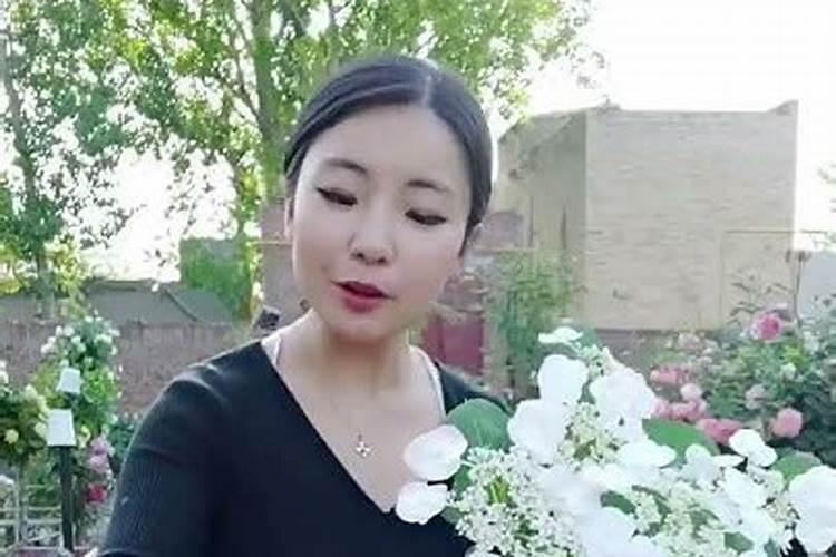 绣球花修剪后施什么肥 施肥注意事项