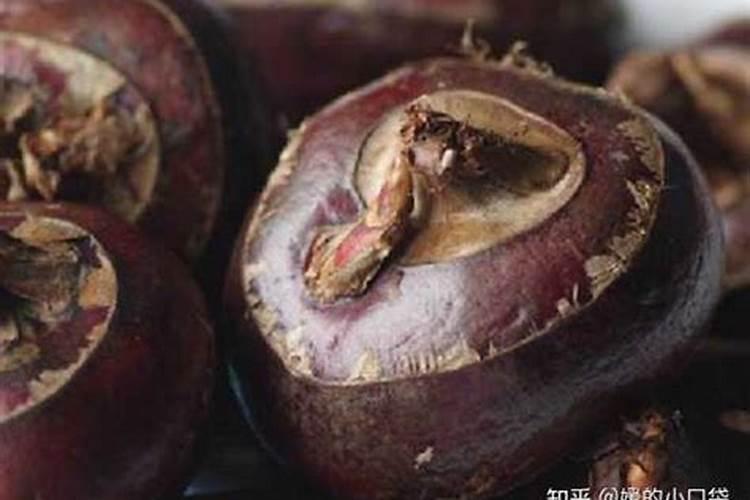 马蹄什么时候施膨果肥