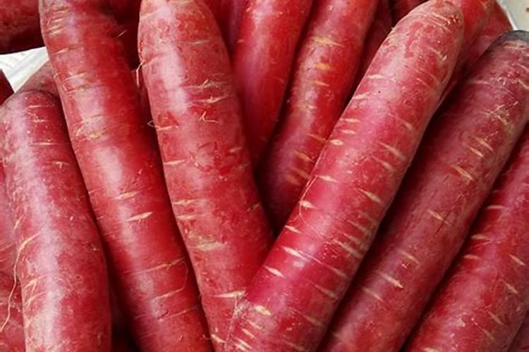 红萝卜什么时候种植最好