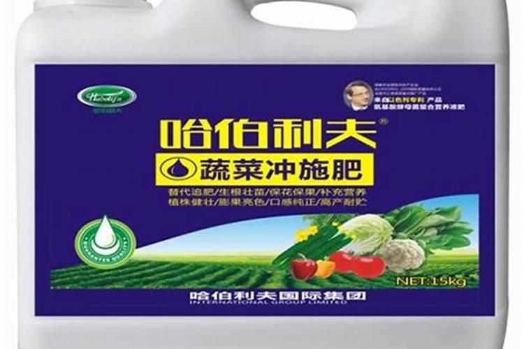 西芹有什么功效与作用？