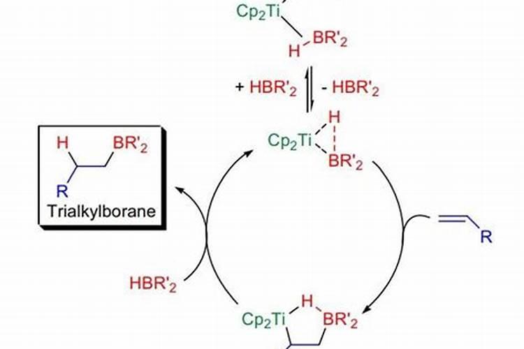 洋桔梗用什么肥