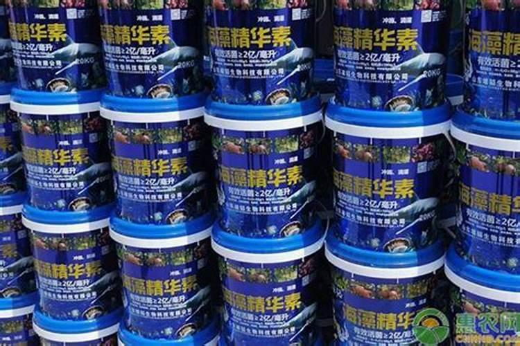 天脊16620硝酸钾水溶肥的批发价格是多少？