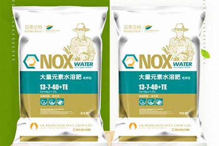 茄瓜的种植技术