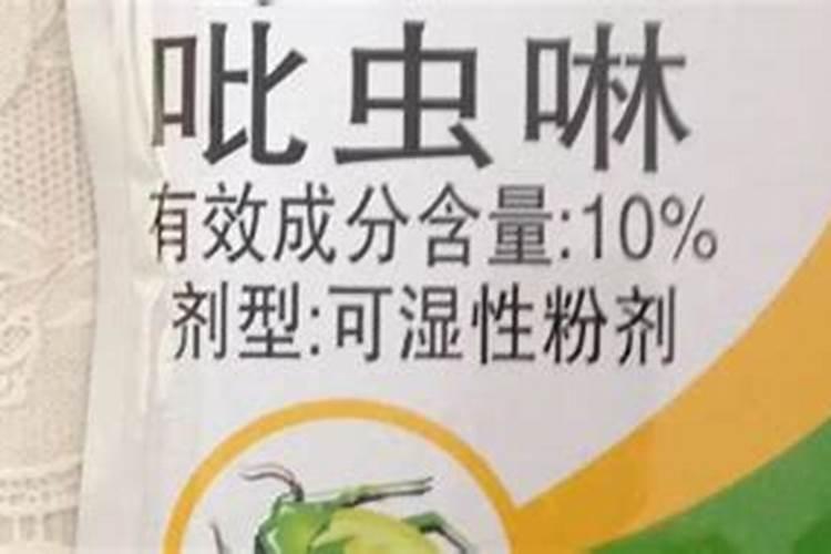 大葱地上害虫有很多,大葱地上害虫要怎么防治？