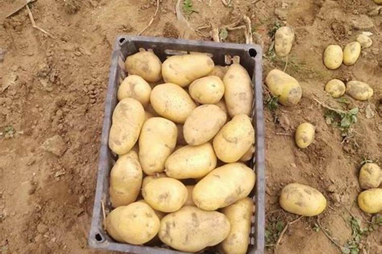 清原满族自治县宏运有机肥有限公司怎么样？