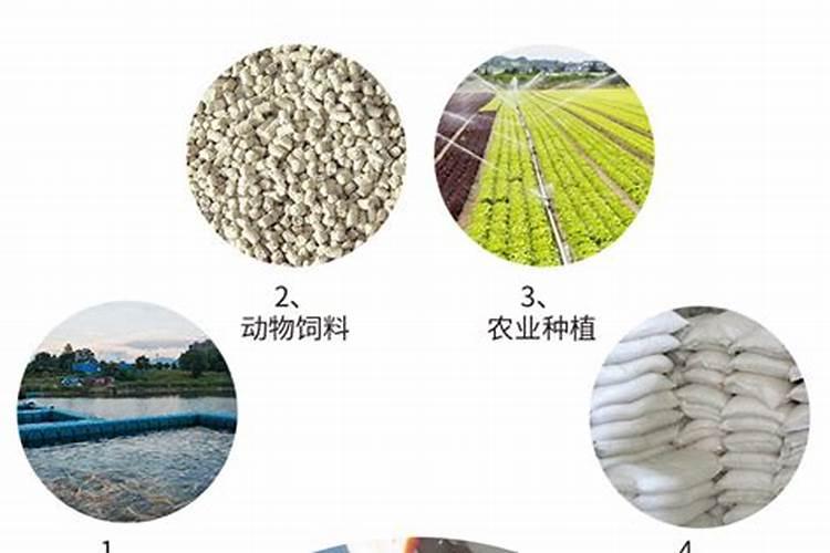 酵母浓缩液是危险品吗