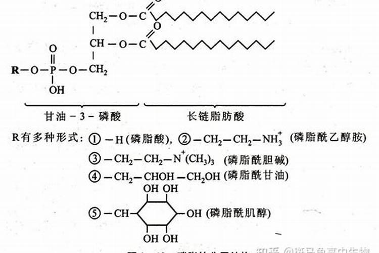 种植草莓如何进行施肥