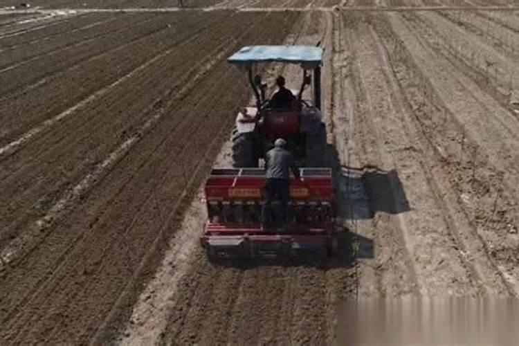 花生施肥的正确方法