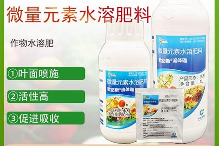 荔枝开花期施什么肥