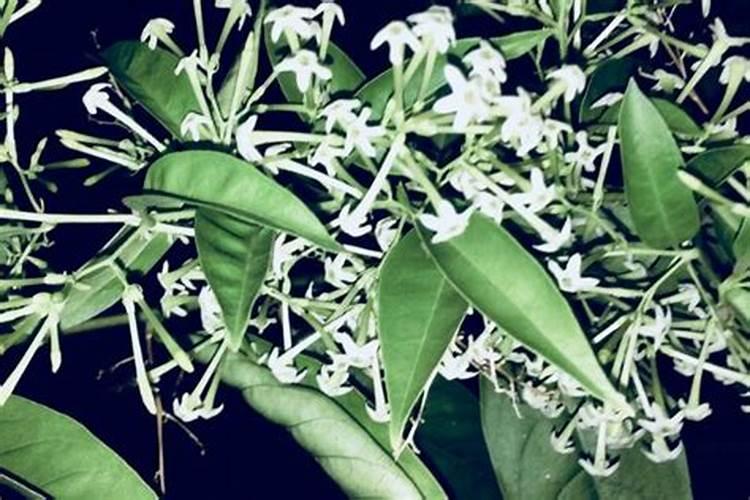 碳纤维是什么材料？碳纤维制作工艺要点？