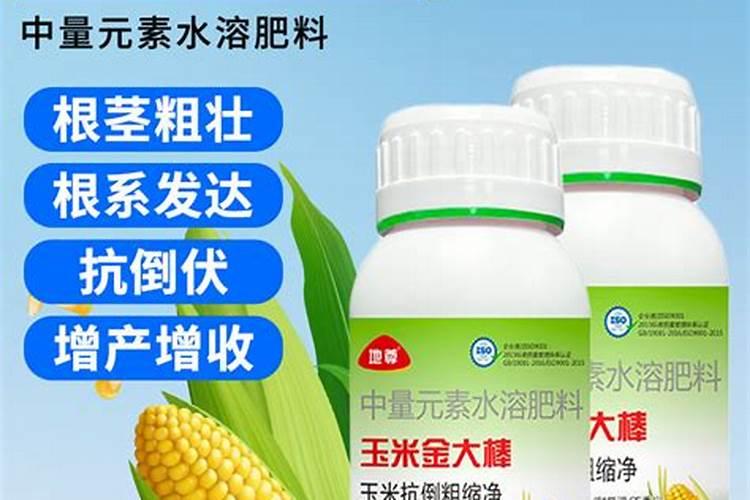 信阳站的公交线路