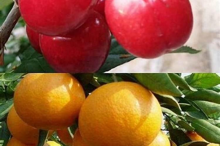 氮磷钾复合肥使用方法