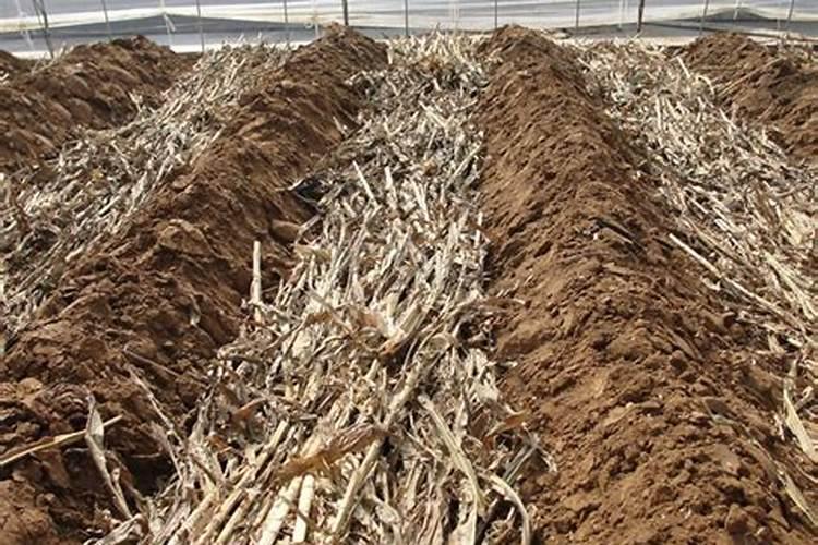 玉米秸杆怎样制作肥料