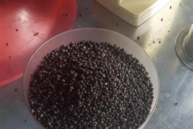 家庭怎样自制氮磷钾肥