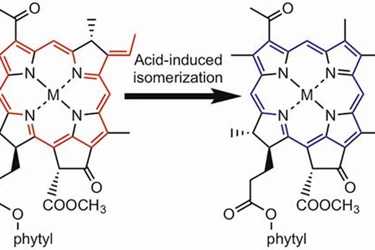 钙镁磷肥的作用及功能是什么