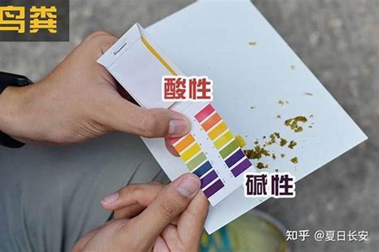 鸟屎可以做肥料吗