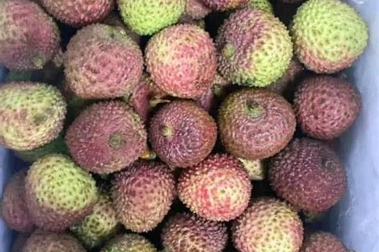 摘心修剪原理是什么