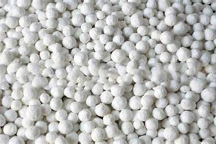 番石榴果丰收后大部分都有虫,是什么原因导致的？