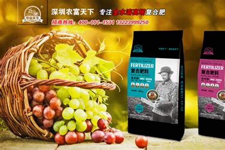 红提树苗多长时间挂果 红提树的养护方法