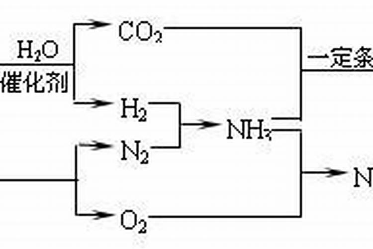 除了自来水还有什么水能浇花 除了自来水还有啥水能浇花