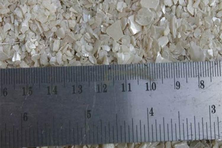 多肉植物一般用什么肥