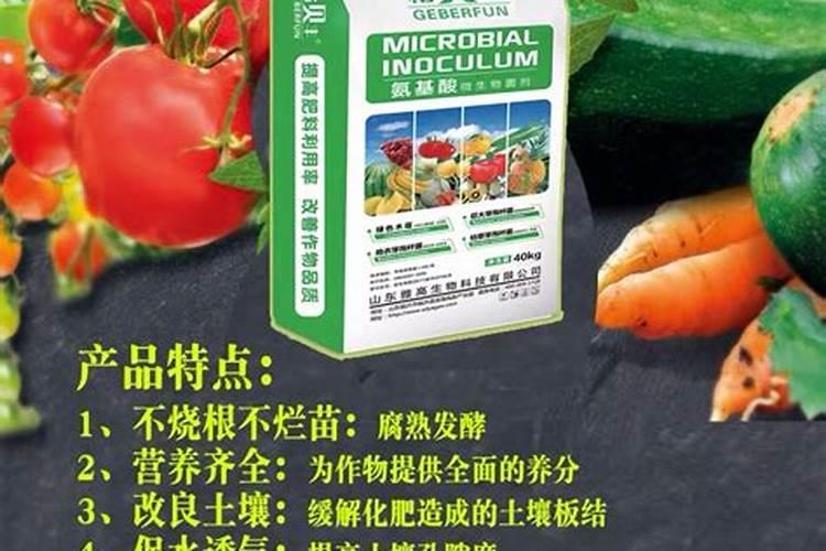 大豆与根瘤菌是什么关系