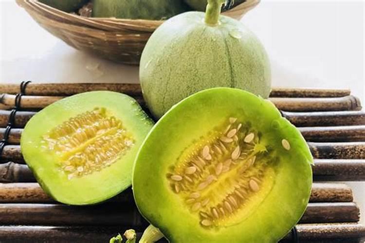 甜瓜生理叶枯症病原