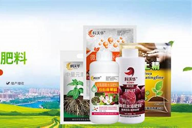 太阳花施肥方法,用什么肥好