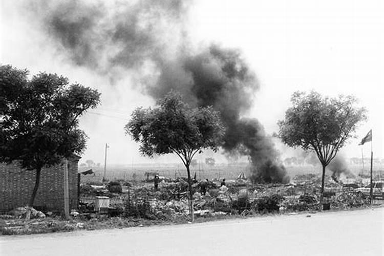 辣椒如何施磷肥