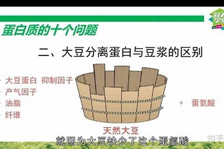 大豆蛋白和动物蛋白哪个更有营养？