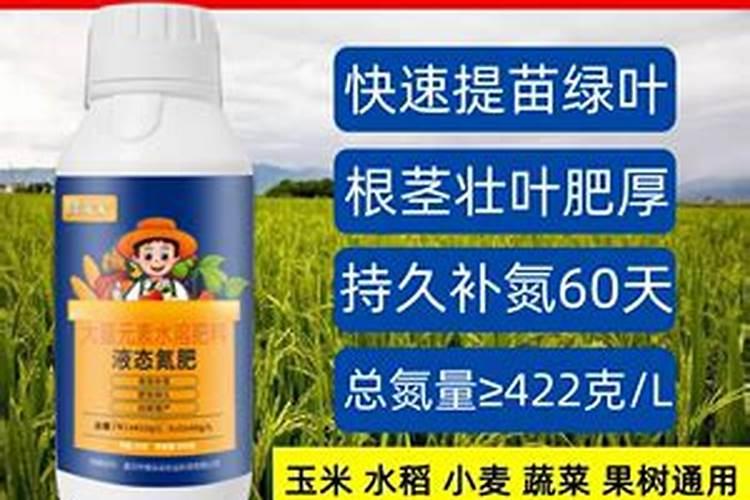 种小麦用什么肥料好