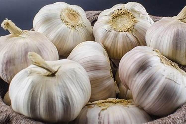 芸苔素对大蒜上的作用？