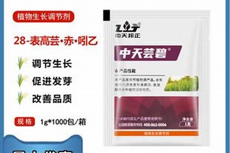 28表高芸赤吲乙一瓶多少亩地