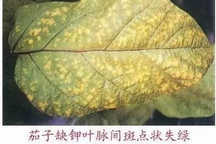 县级肥料经销商营销手段 哪位资深人士可以跟点建议 列出几条来啊百度...