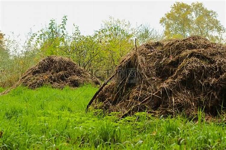 稻草不用烧,我们有妙招!堆肥膜发酵让它变成土壤“救命稻草”!