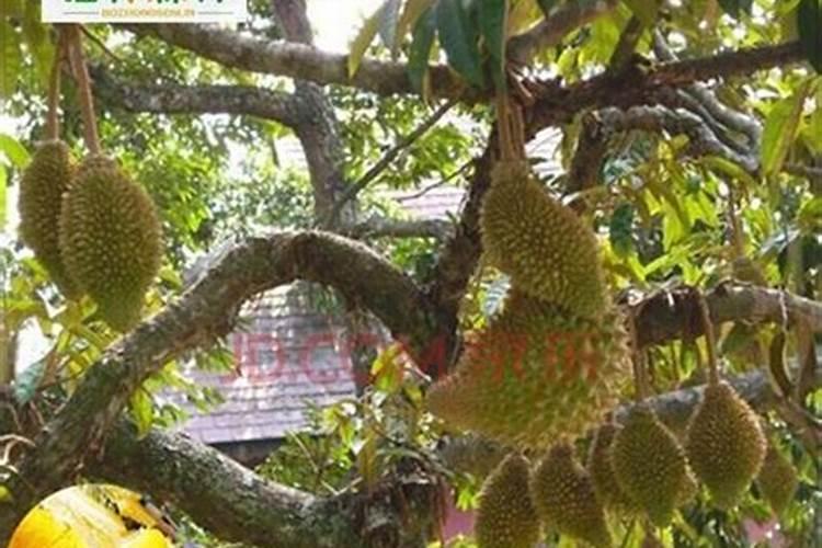 农用拖拉机水箱用什么方法去除水垢？