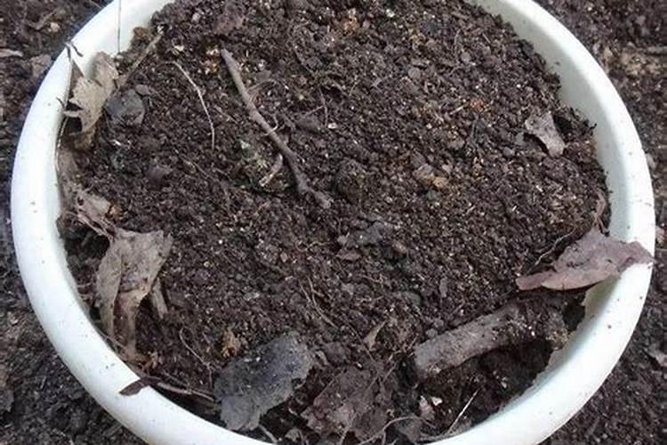 油桐树树叶可以沤肥种蔬菜吗？