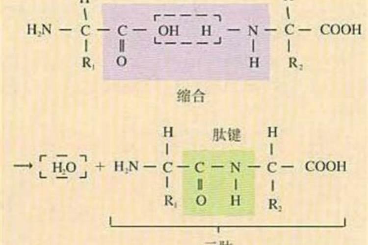 溴氰菊酯4毫升可以跟叶面肥一起用吗？