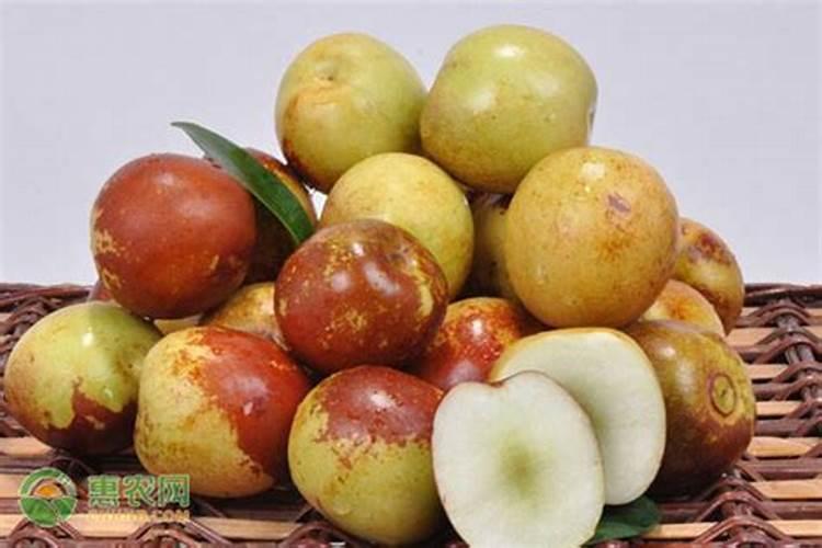 农业知识:枣树花期用什么药能坐果？