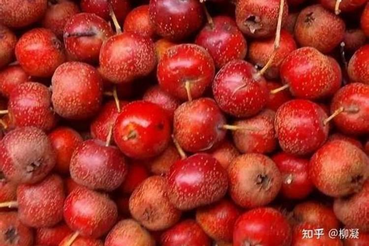 施用一些有机肥,是否能提升果子的甜度？