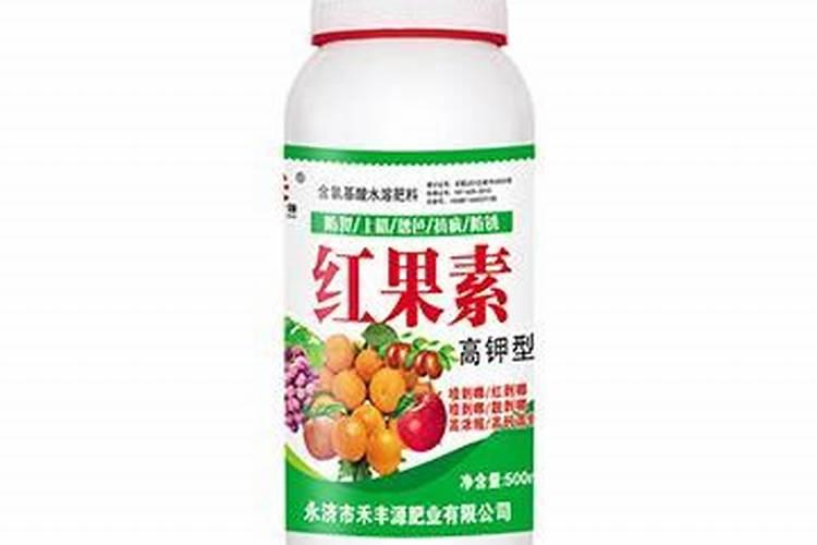 挂果期长是什么意思