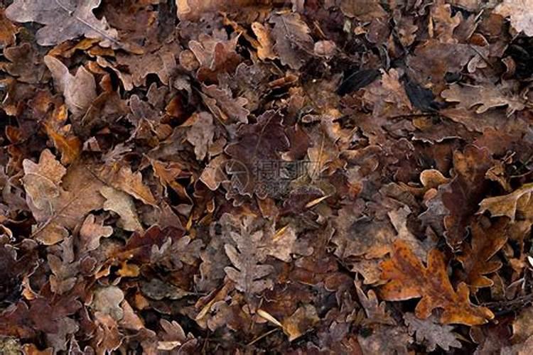 碳酸氢铵是氮肥吗