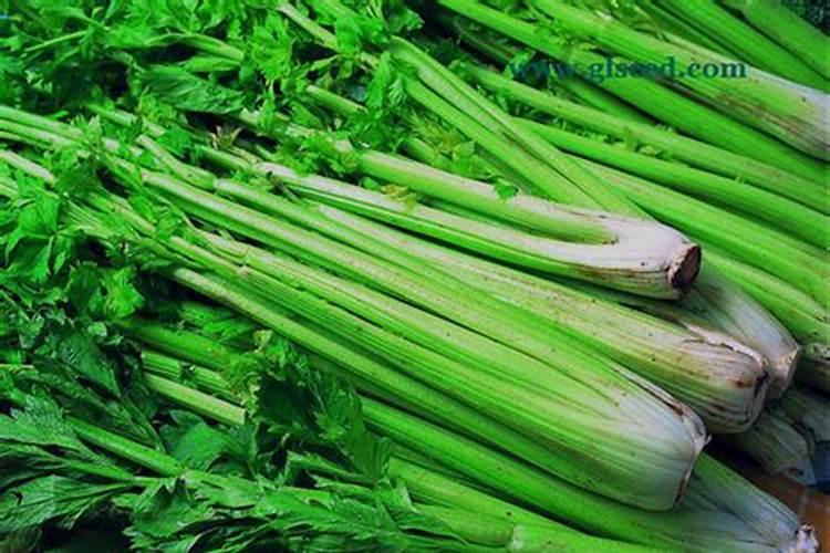 西芹的施肥方法