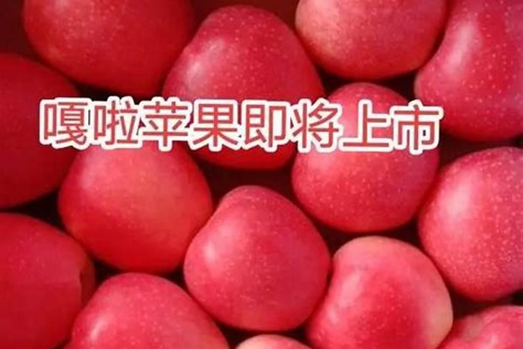 苹果套袋期着色不均的有效预防须注意套袋摘袋的合适时间